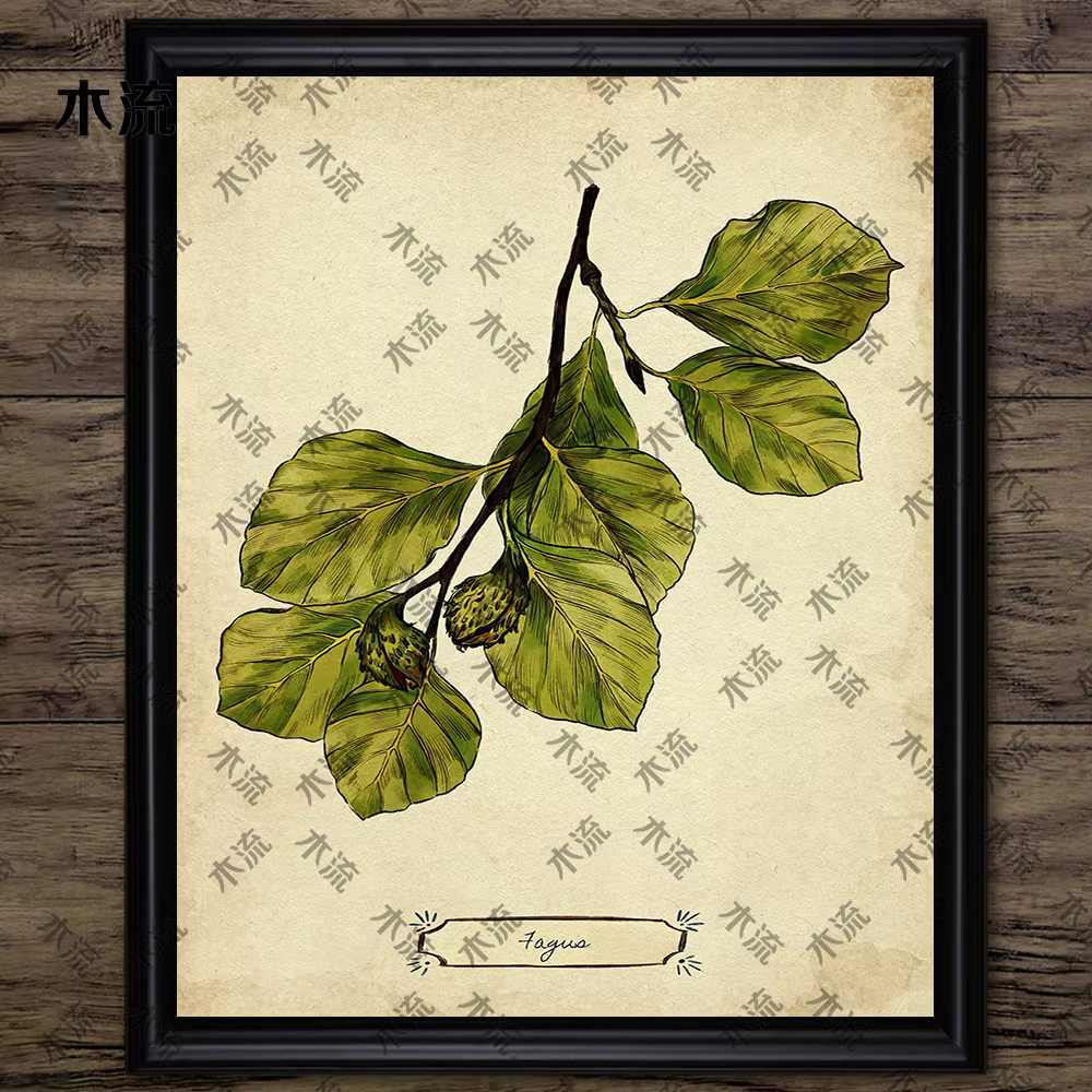 Peinture sur toile d'art mural vintage, illustration de plante de feuilles, art de connaissance d'ar