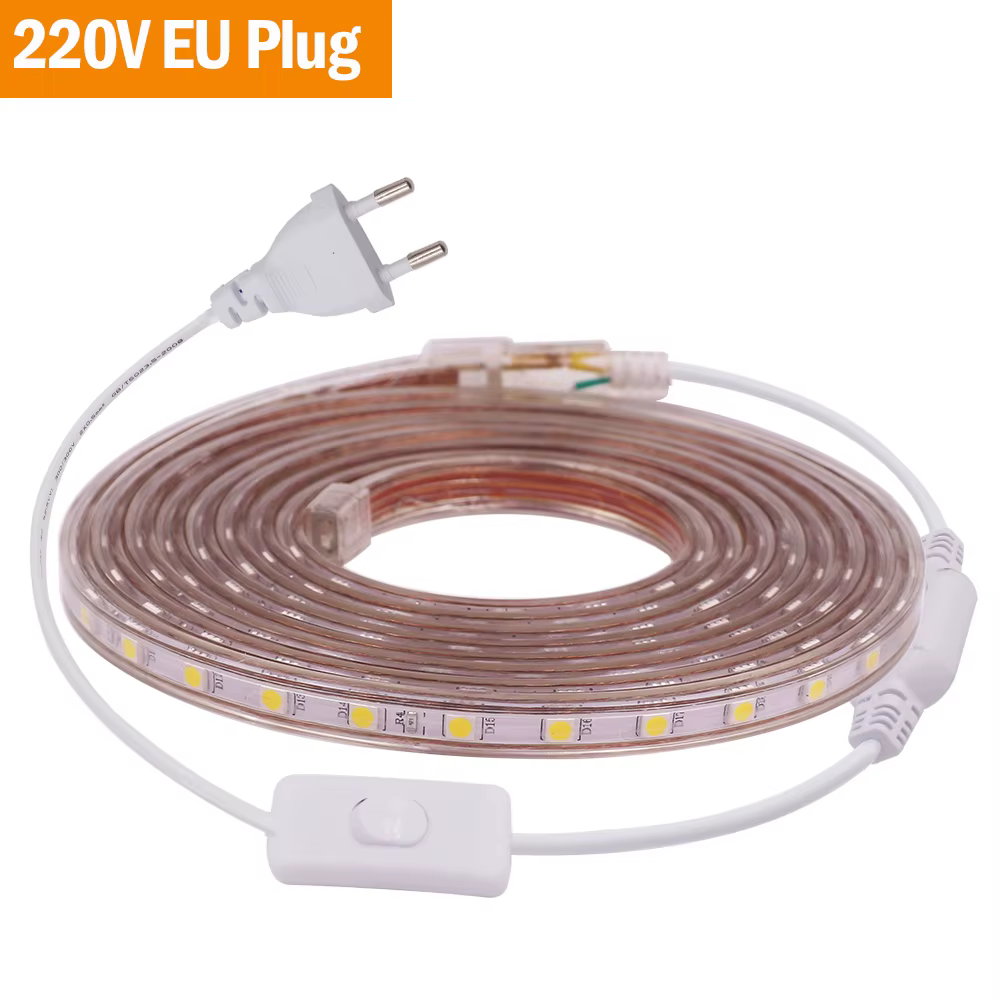 Bande lumineuse LED 5050 220V 110V 60LED, bande LED Flexible avec interrupteur marche/arrêt, ruban L