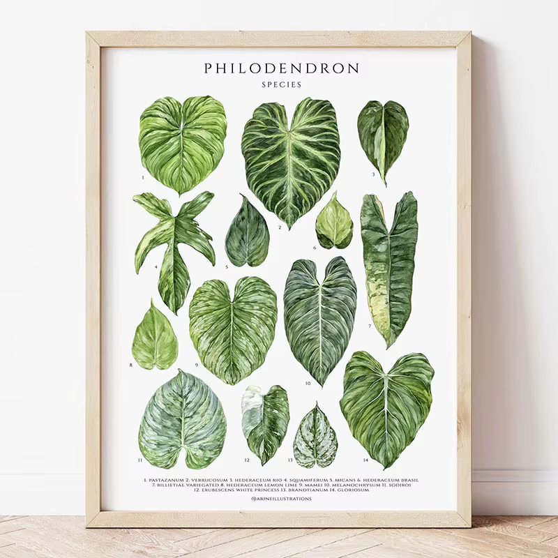 Toile murale à feuilles botaniques vertes, plantes d'intérieur naturelles, décoration de maison, feu