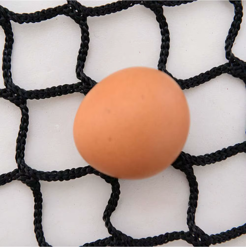 Filet de sécurité en nylon sans nœud pour enfants, clôture de piscine de jardin, clôture de balcon, fenêtre, escalier, protection contre les chutes, clôture pour bébé chat