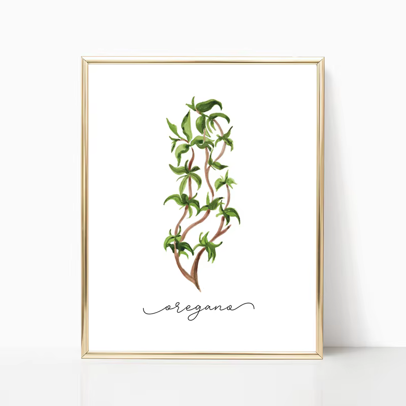 Affiches murales sur toile de Collection d'herbes, peinture de sauge d'organo, romarin, basilic, thym, aquarelle, image murale imprimée, décor de cuisine