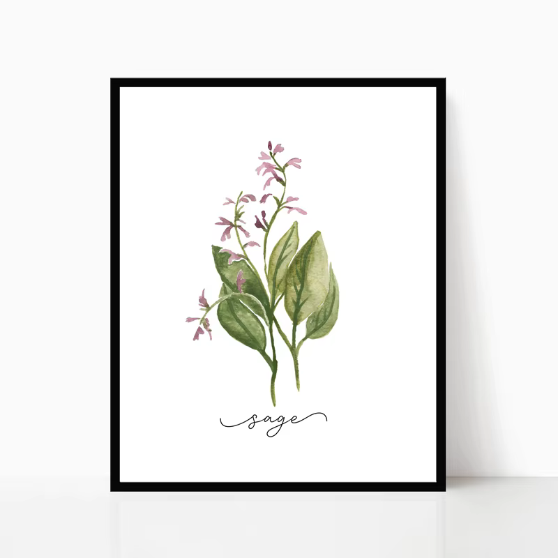 Affiches murales sur toile de Collection d'herbes, peinture de sauge d'organo, romarin, basilic, thym, aquarelle, image murale imprimée, décor de cuisine