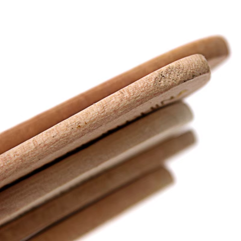 12 pcs/ensemble Haute qualité nylon Mao Banshua peinture à l'huile brosse artistes BARBECUE