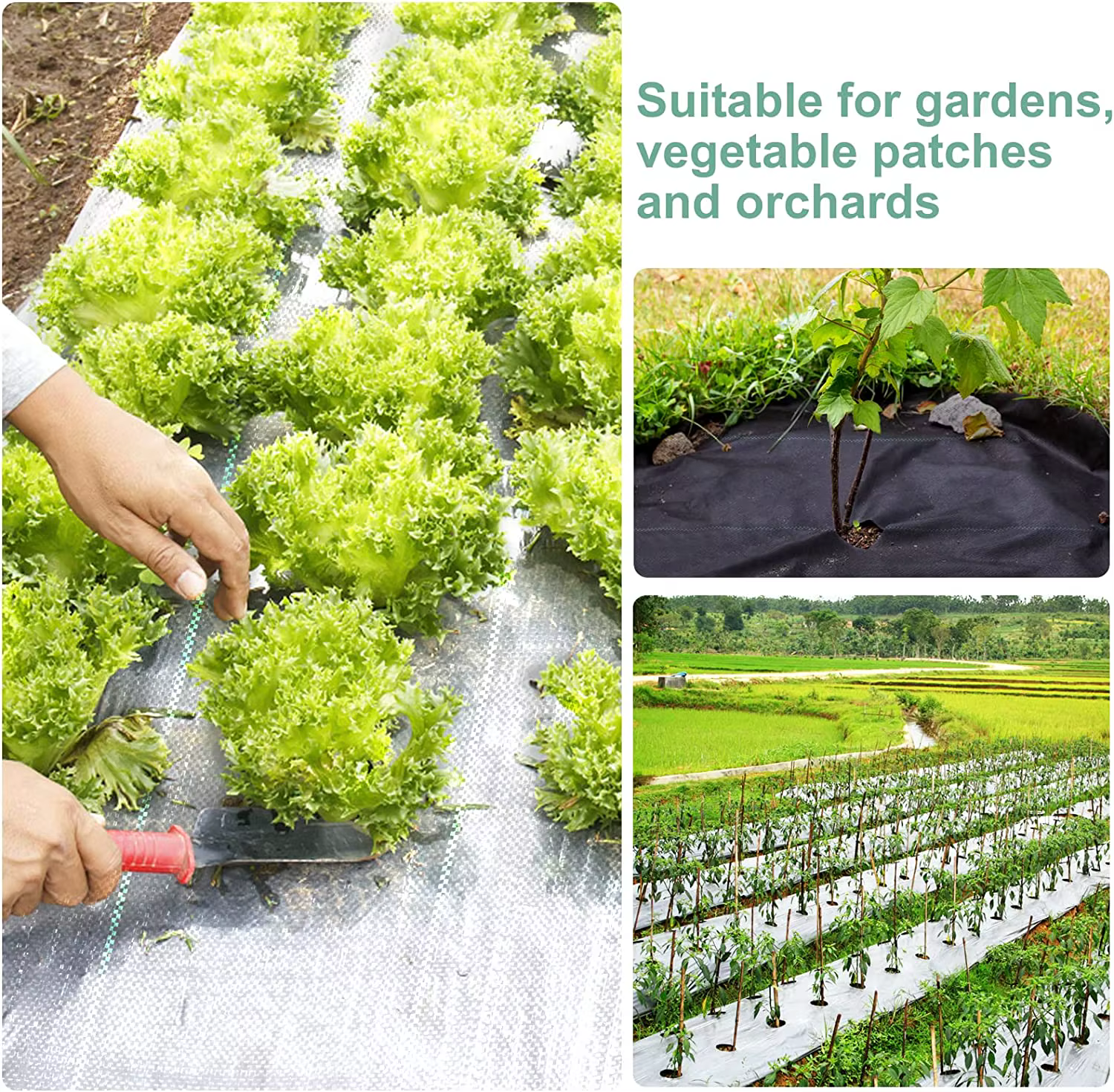 Toile de paillage robuste pour jardins extérieurs – Tissu non tissé anti-mauvaises herbes – Rouleau