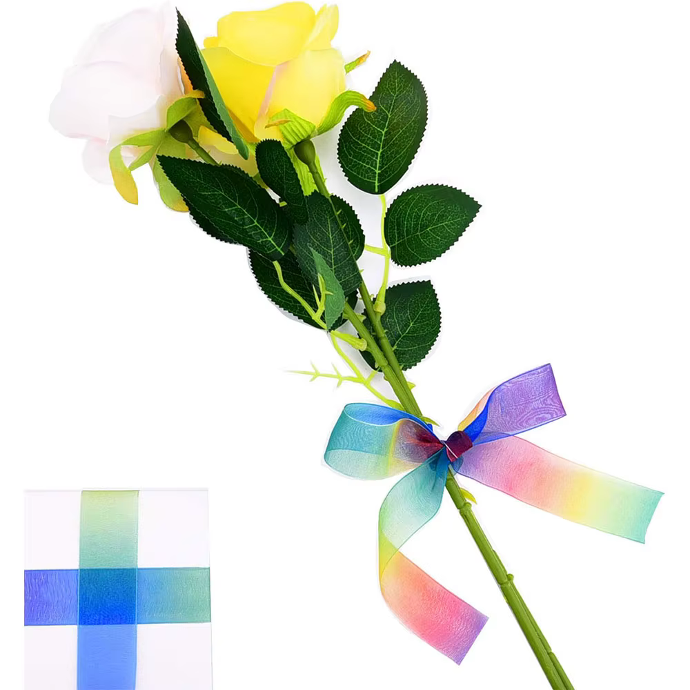 Ruban arc-en-ciel pour emballage cadeau