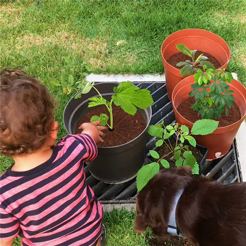 Protection de Sol pour Pot de Plantes avec Grille, Couverture de Pot de Fleur, Sécurité pour Bébé, Souris, Repousse les Chats, Jardin, Ménage, N64.