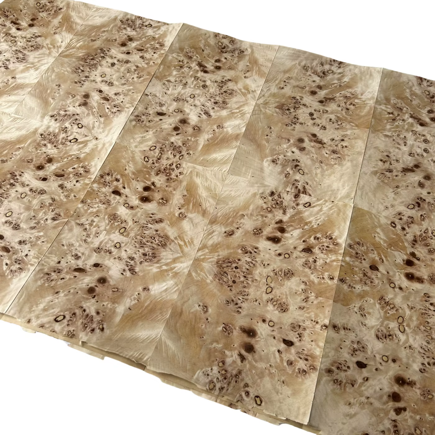58x250cm, placage fin sur papier kraft de 0