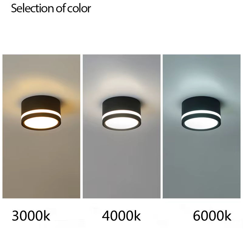 Plafonnier Spot lampe ronde Led salon Downlight monté en Surface AC220v Luminaire lumière décor à la maison 7W 10W blanc chaud