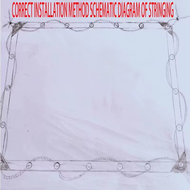 Bâche transparente en tissu d'ombrage imperméable à la pluie