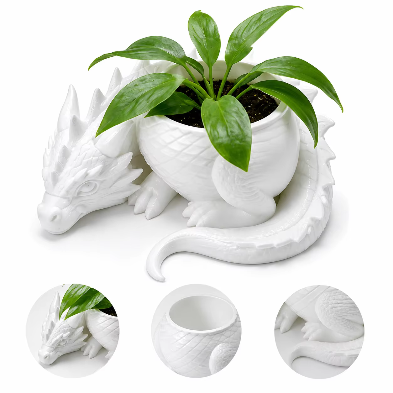 Pot de fleurs protecteur en forme de dragon rêveux, pot de fleurs créatif pour plantes succulentes, accessoire décoratif de bureau