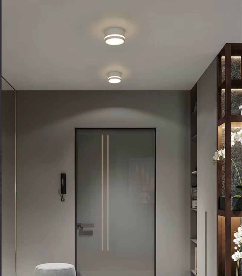 Plafonnier Spot lampe ronde Led salon Downlight monté en Surface AC220v Luminaire lumière décor à la maison 7W 10W blanc chaud