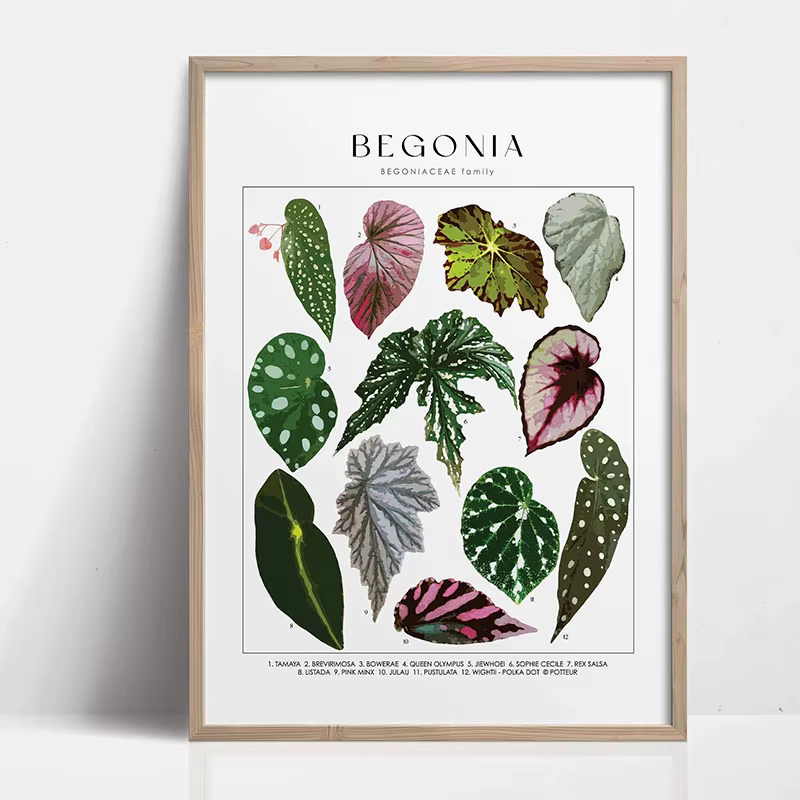 Toile murale à feuilles botaniques vertes, plantes d'intérieur naturelles, décoration de maison, feuillage apaisant et affiche d'intérieur de plantes