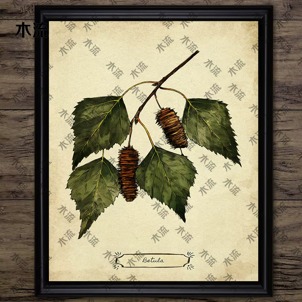 Peinture sur toile d'art mural vintage, illustration de plante de feuilles, art de connaissance d'arbre, impression d'affiche, décoration à la maison, sans cadre