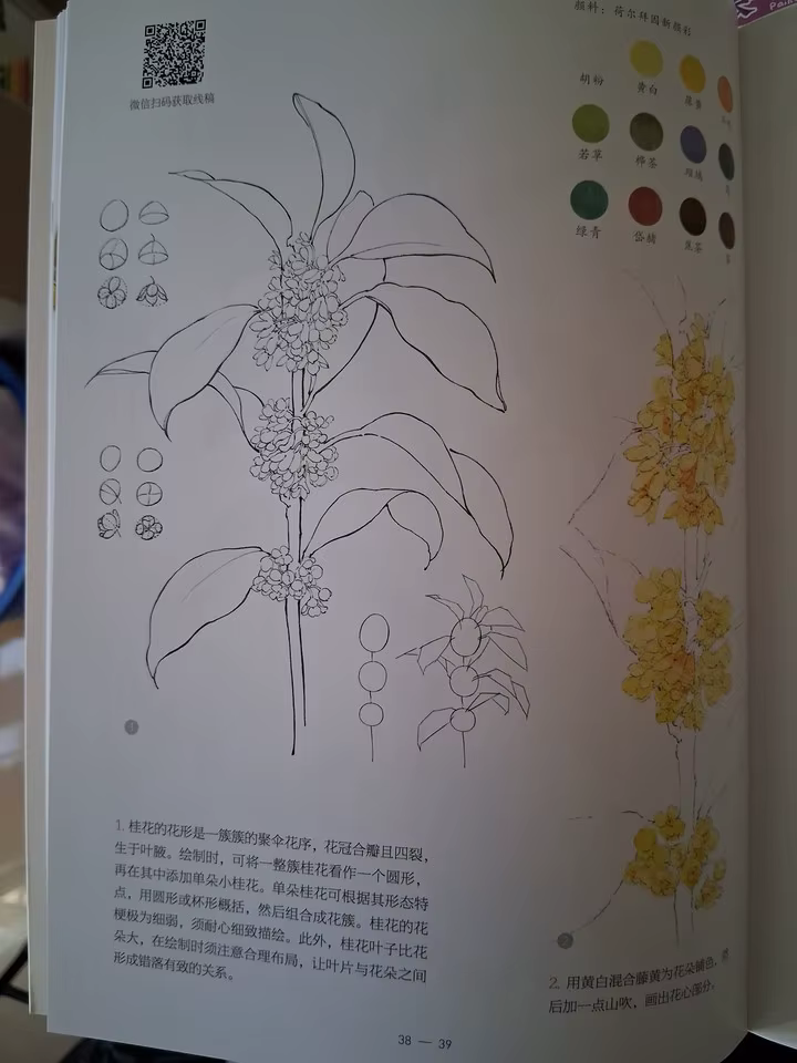 Nouveau Livre Pratique de Peinture à l'Aquarelle sur le Thème des Fleurs 2026 pour Débutants