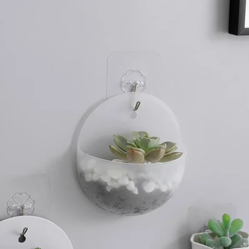 Plante de fleurs jardin intérieur maison