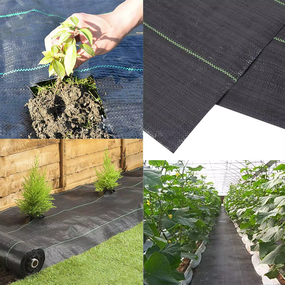 Toile de paillage robuste pour jardins extérieurs – Tissu non tissé anti-mauvaises herbes – Rouleau