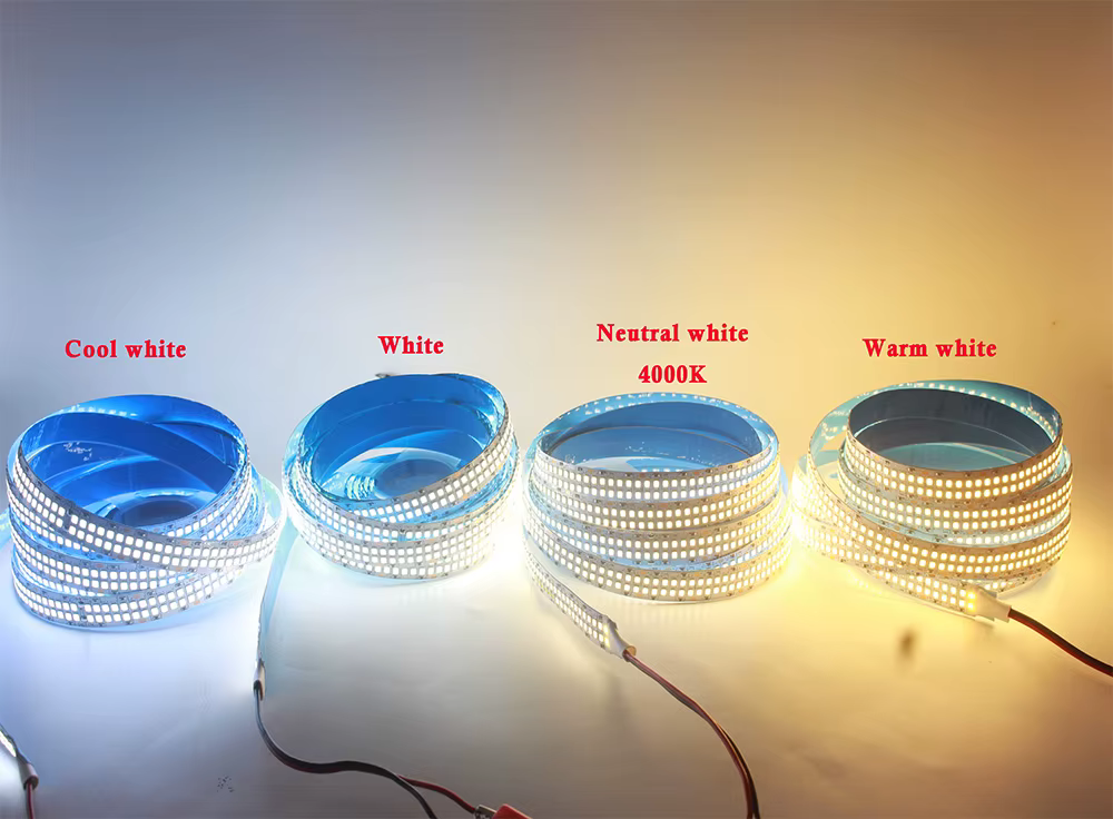 Bande lumineuse LED 12V 24V 2835, 5m 10m 15m 20m, 60/120/240/480 LED, blanc naturel/blanc chaud/blanc froid, décoration de maison