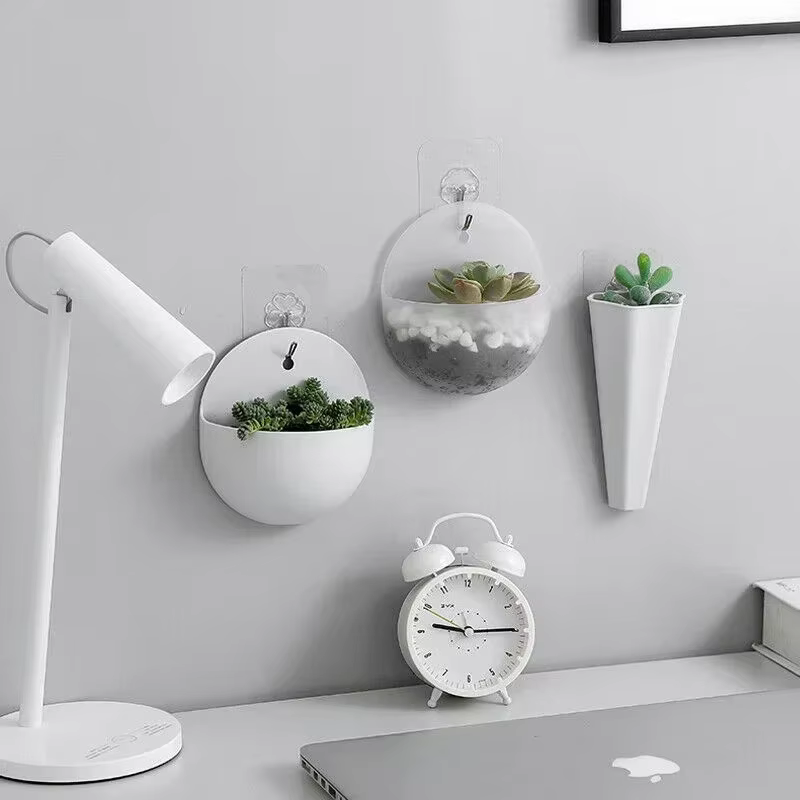 Plante de fleurs jardin intérieur maison