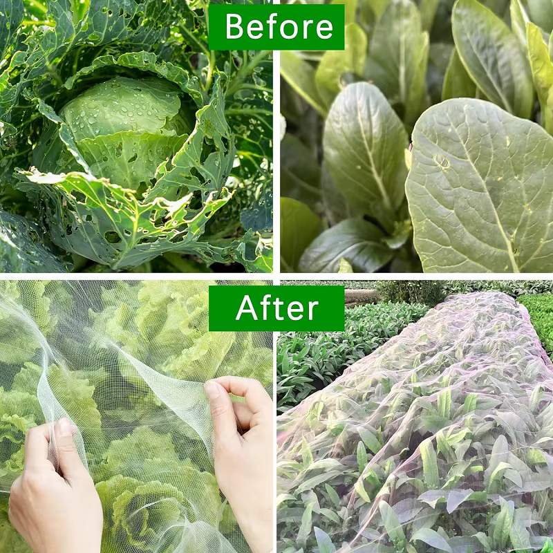 Filet de protection pour jardin, protection des plantes, des légumes et des fruits, filet de protection pour serre, lutte contre les parasites, filet anti-oiseaux