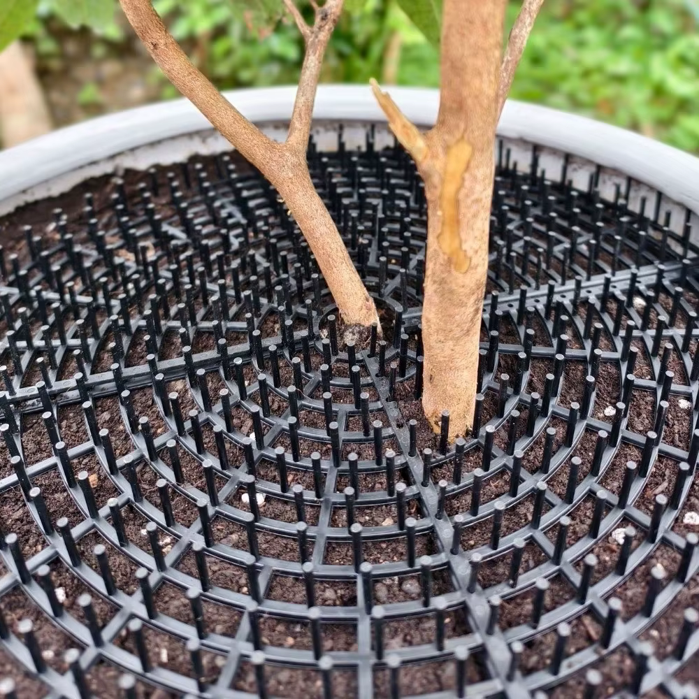 Grille de protection de sol respirante en maille pour pot de plantes, à découpes à pointes, réversible, pour la protection du sol