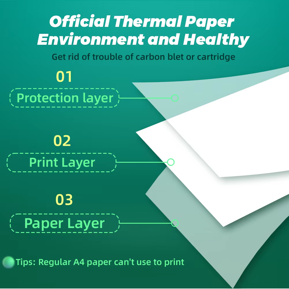 Phomemo A4 imprimante thermique papier lettre papier continu à séchage rapide adapté pour M832/M833/M834/M835 imprimante Portable 2 rouleaux
