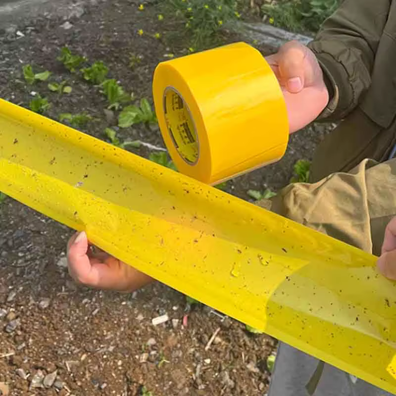 Ruban adhésif anti-insectes double face de 10 m