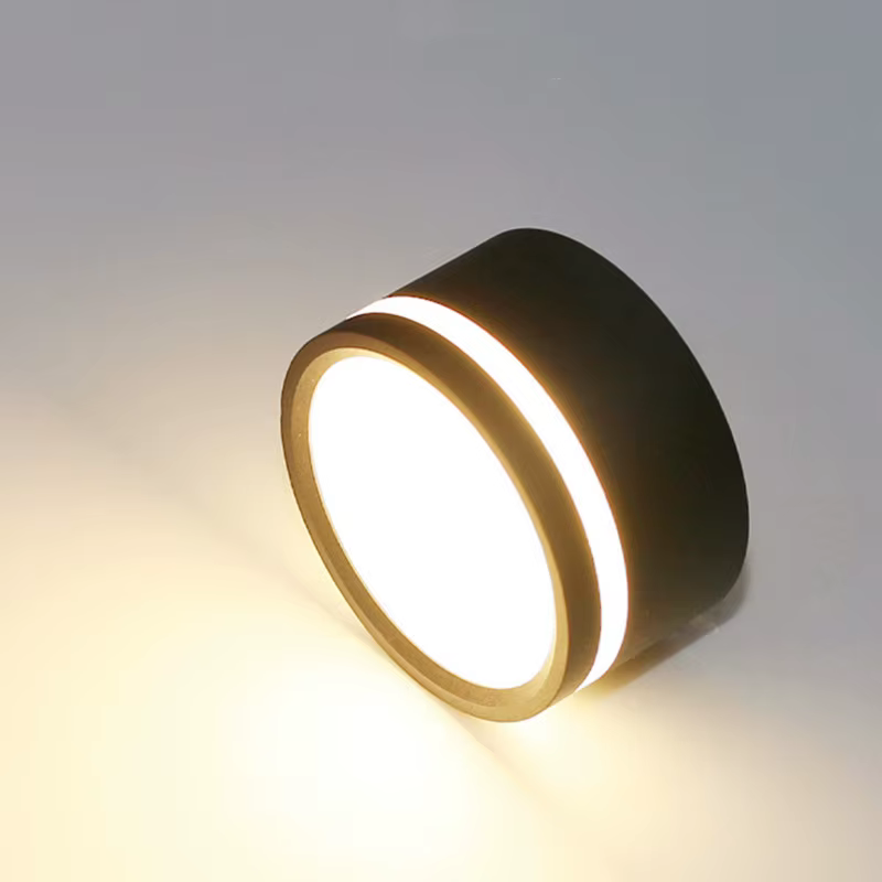 Plafonnier Spot lampe ronde Led salon Downlight monté en Surface AC220v Luminaire lumière décor à la maison 7W 10W blanc chaud