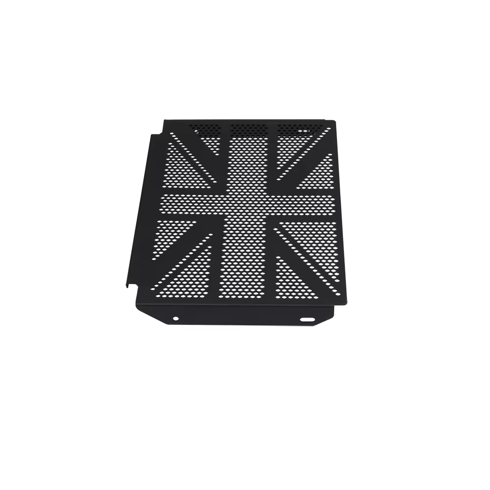 Protecteur de radiateur pour Trident660, couvercle de calandre pour Triumph Trident 2022, 2022, 2022, 2021