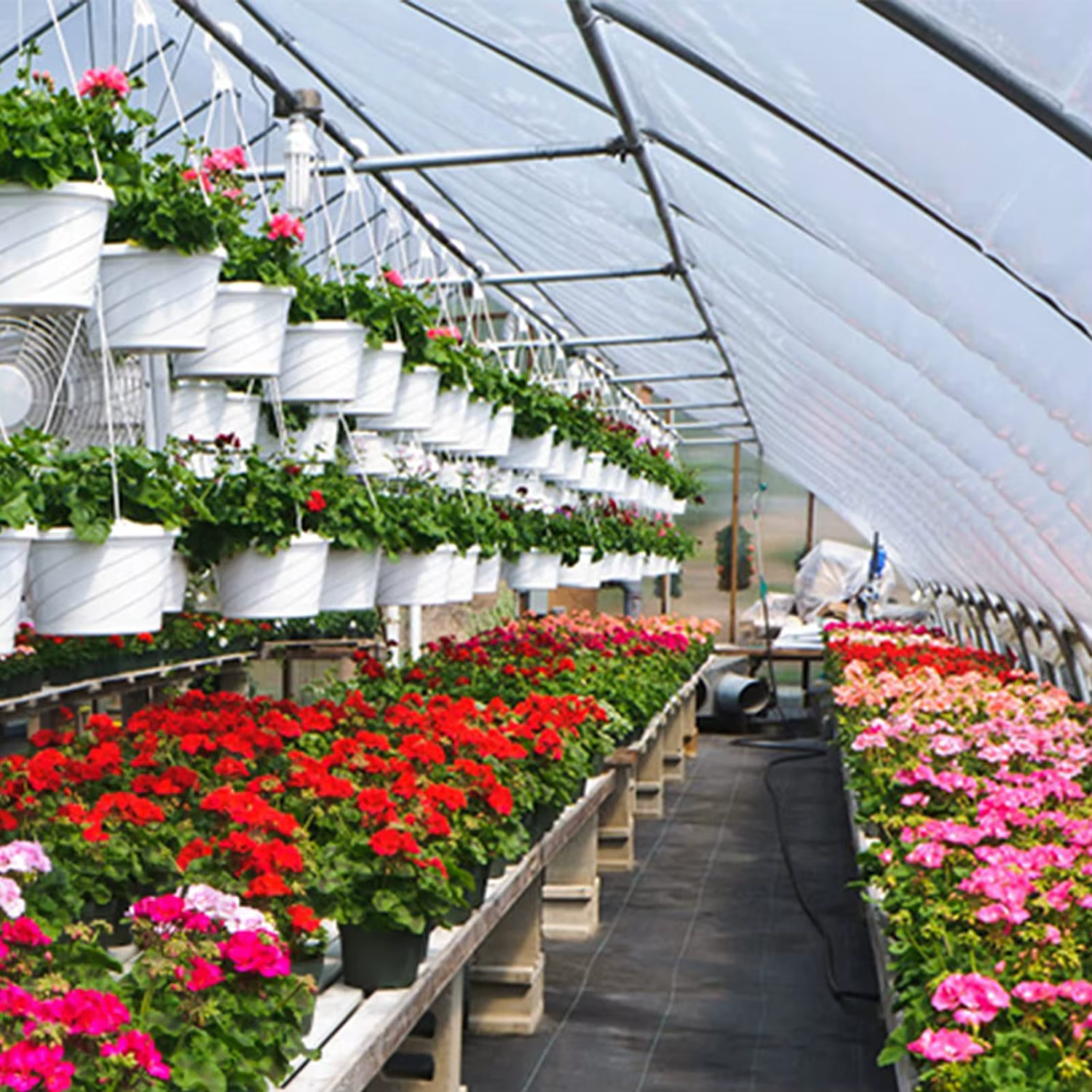 Toile de paillage robuste pour jardins extérieurs – Tissu non tissé anti-mauvaises herbes – Rouleau
