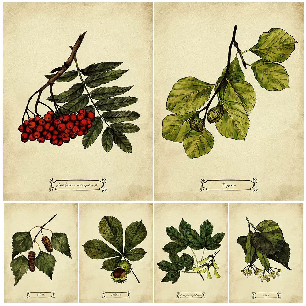 Peinture sur toile d'art mural vintage, illustration de plante de feuilles, art de connaissance d'arbre, impression d'affiche, décoration à la maison, sans cadre
