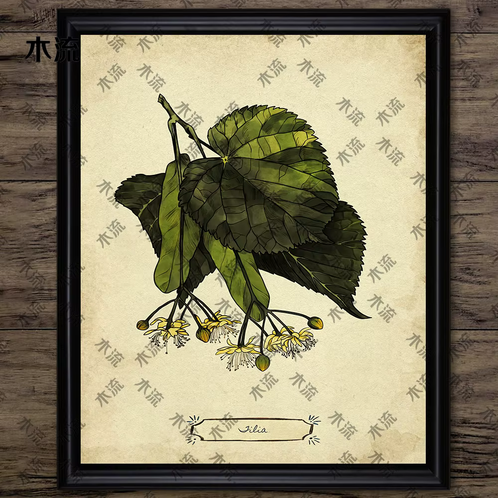 Peinture sur toile d'art mural vintage, illustration de plante de feuilles, art de connaissance d'arbre, impression d'affiche, décoration à la maison, sans cadre