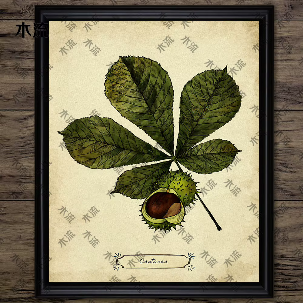 Peinture sur toile d'art mural vintage, illustration de plante de feuilles, art de connaissance d'arbre, impression d'affiche, décoration à la maison, sans cadre